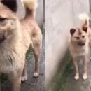 옛날세상 이미지