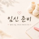 세종버거킹 | [임신 준비] :: 세종 트리니움 :: 나팔관조영술 후기 ::