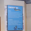 메타로폴리스로 네이버블로그