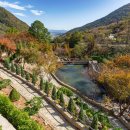 숲속의 정원 이미지