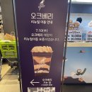 슈퍼베리 | [판교/내돈내산] 슈퍼푸드 아사이, 오크베리 후기