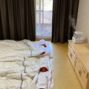 성일카 랜드 이미지