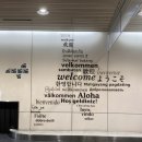 노미네일 | 누가 겨울 홋카이도 좋다고 그랬어
