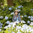 수국펜션 이미지