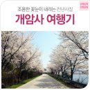 전북여행-개암사ㅣ한 박자 느리게 피는 부안 벚꽃과 함께 떠나는 개암사 여행기 이미지