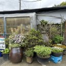 상미농원 이미지