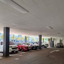 계산동 은행나무 | 인천샤브샤브 계산동맛집 무제한 뷔페 샤브올데이인천계산점 솔직후기