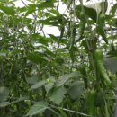 가야농원 이미지