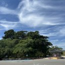 경포 관광안내소 | 강원도 2박 3일 여행 2-3일차 후기