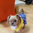 신흥미싱 이미지