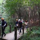 우면산5-4 이미지