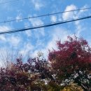 독산로23길 이미지