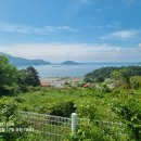 2025년 성묘 (5.16~19 벌초, 성묘, 형제모임, 제초제 살포) 이미지