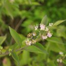 골든타임B 이미지