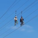 하늘과 바다사이 이미지