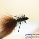 Fly Hook _ Woolly Bugger 이미지