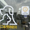 라운지 도그 이미지