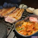 탄관마 이미지
