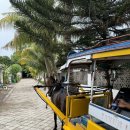 네로 | [발리] 길리 트라왕안 가성비 숙소 ‘빌라네로’ 이용후기