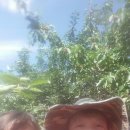 새소망푸드뱅크 이미지