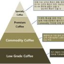 스페셜리티 커피 네이버블로그