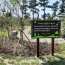 조성중학교 이미지