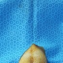 마루종합동물병원 이미지