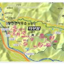 장천시장 이미지