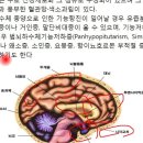 4 팔미환&육군자탕 조회수 3.6천회 6년 전 이미지