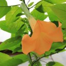 산정농장 이미지