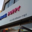 블루퍼피애견샵