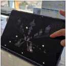 벨라마레 이미지