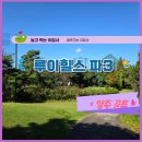 루이힐스 C.C 이미지