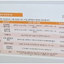 마음든 동물병원 | 서초구 방배동 동물병원 13살 우리집 강아지 뽀삐 잇몸 종양 제거 수술 상담