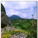 지리산천상화원