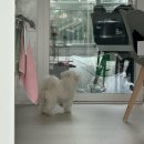 예손정비센터 이미지