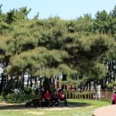 자산솔밭공원 이미지