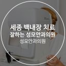 세종안과의원 이미지