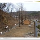 경상북도산림생태과학원 이미지