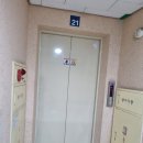 주식회사 파인트리 이미지
