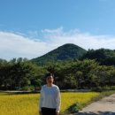 해맞이공인중개사사무소 이미지