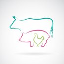 황금돼지 이미지