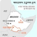 칼디의 커피