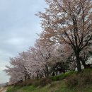 철산동 광성초등학교 앞 이미지