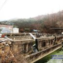 회동송어장 이미지