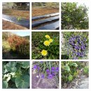 송국농장 이미지