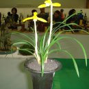 동래원예고등학교 이미지