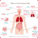 종로제일약국 이미지
