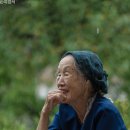 포니 - 중구 큰장로26길 65 | 포니