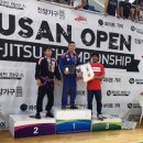 타이거 주짓수 이미지